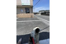写真48474_3