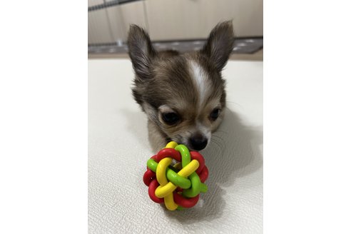 写真48476_1