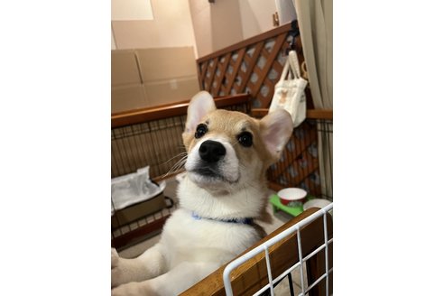 写真48490_1