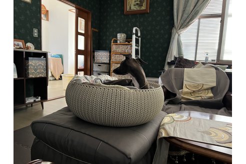 写真48506_2