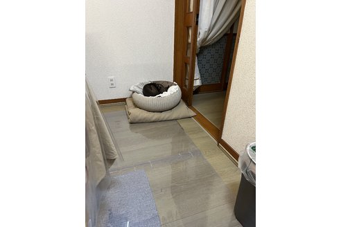 写真48506_3