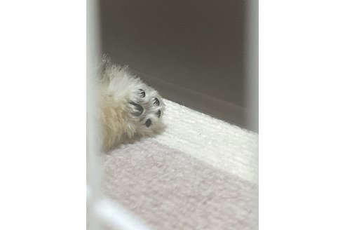 写真48512_1
