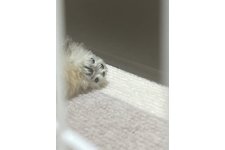 写真48512_1