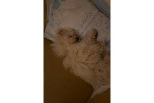 写真48348_2