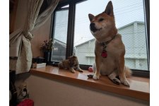写真48536_4