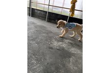 写真48566_3