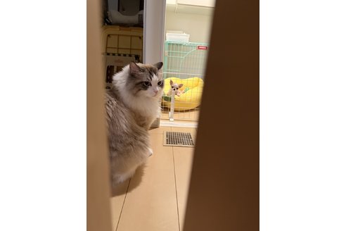 写真48567_1
