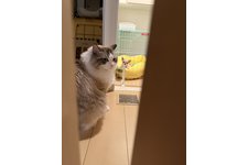 写真48567_1