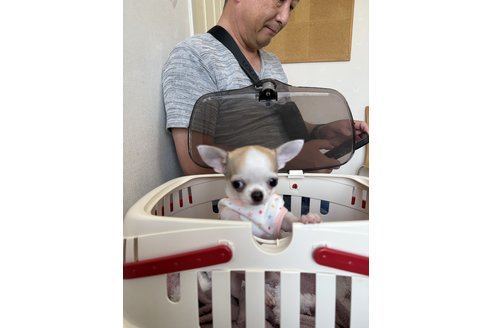 写真48567_4
