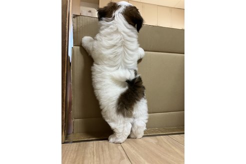 写真48578_1