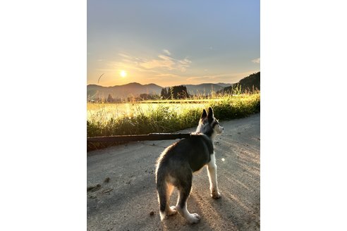 写真48611_3