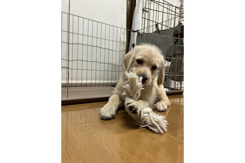 写真48613_1