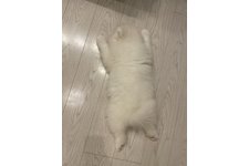写真48633_2