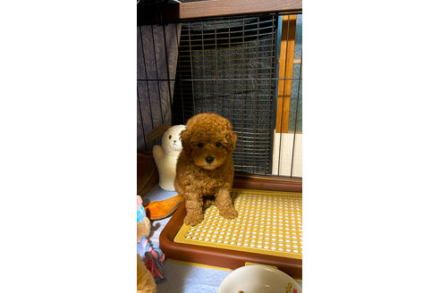 写真48665_1