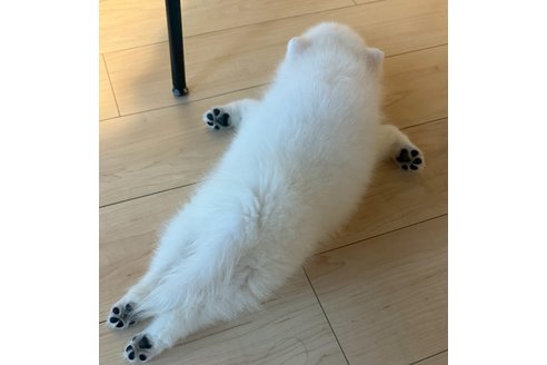 写真48689_2