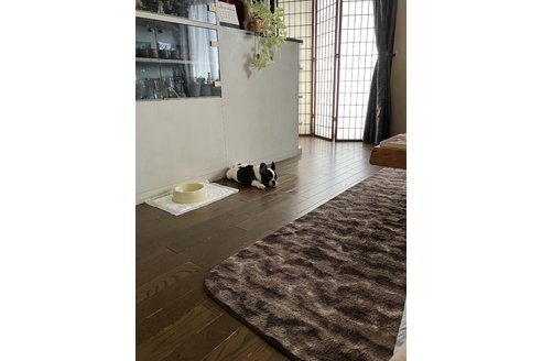 写真48694_2