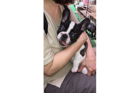 写真48694_3