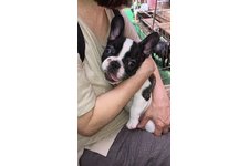 写真48694_3