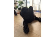 写真_1