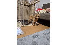 写真48719_3