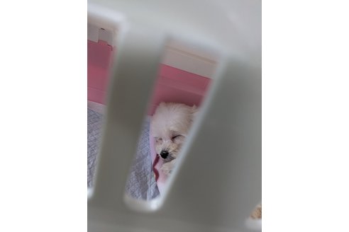 写真48725_1