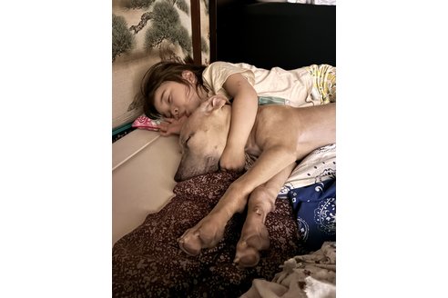 写真48732_3