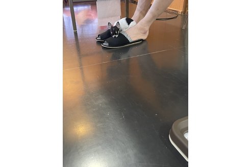 写真48737_1
