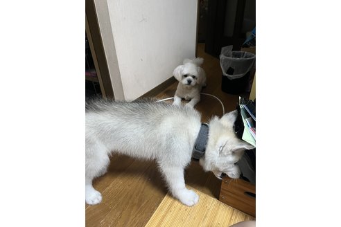 写真48748_1