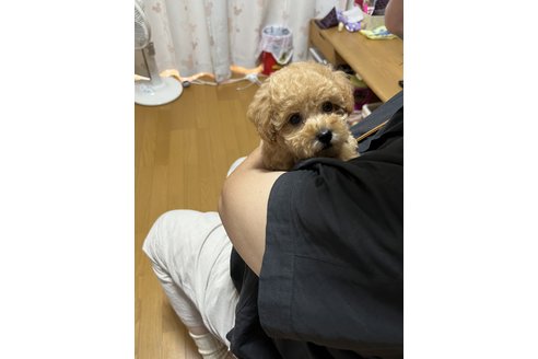 写真48796_4