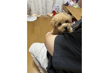 写真48796_4