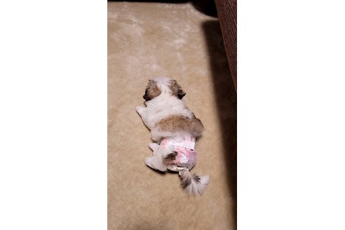 写真48816_1
