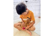 写真_2