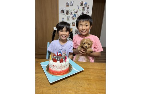 写真48836_4