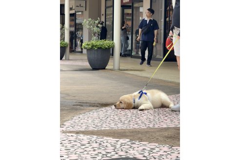 写真48839_4