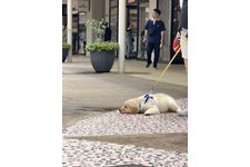 写真48839_4