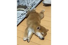 写真48845_3