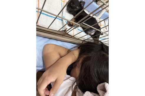写真48849_3