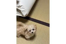 写真48852_1