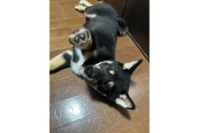 写真48865_3