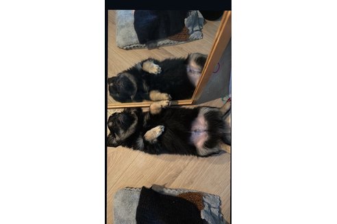 写真48873_1