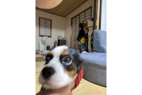 写真48872_1