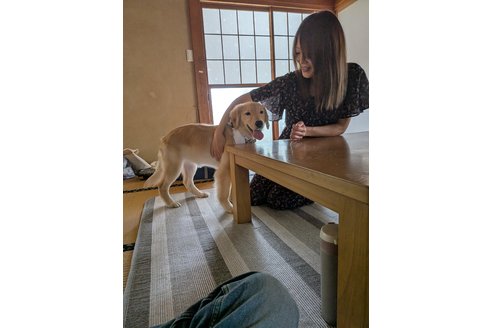 写真48889_2