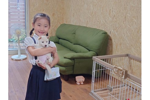 写真48913_4