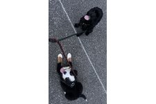 写真48925_3