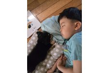 写真48936_3