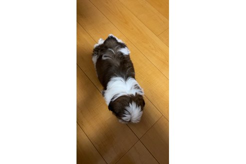 写真48957_1