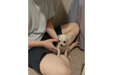 写真48977_2