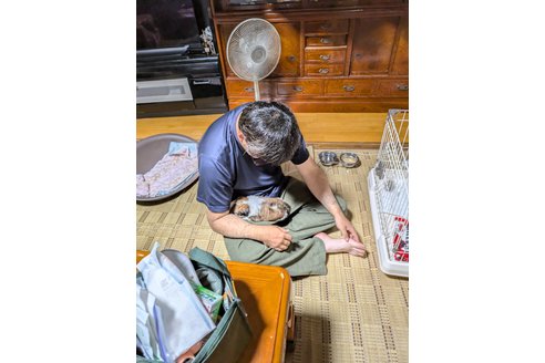写真48992_1