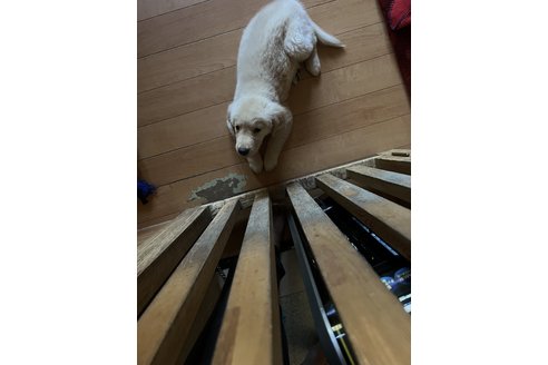写真48996_2