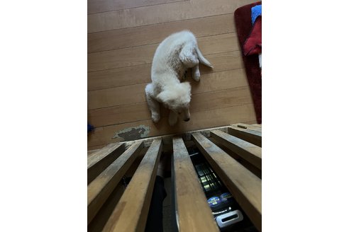 写真48996_4
